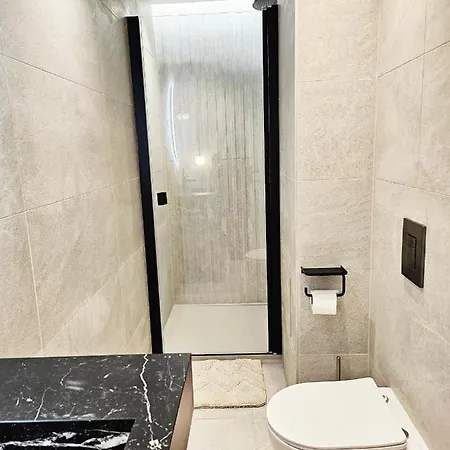 Apartment Le Petit Berriat - Centre Grenoble